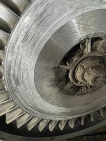 A closer look at the dust